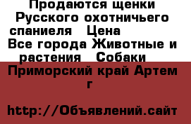 Продаются щенки Русского охотничьего спаниеля › Цена ­ 25 000 - Все города Животные и растения » Собаки   . Приморский край,Артем г.